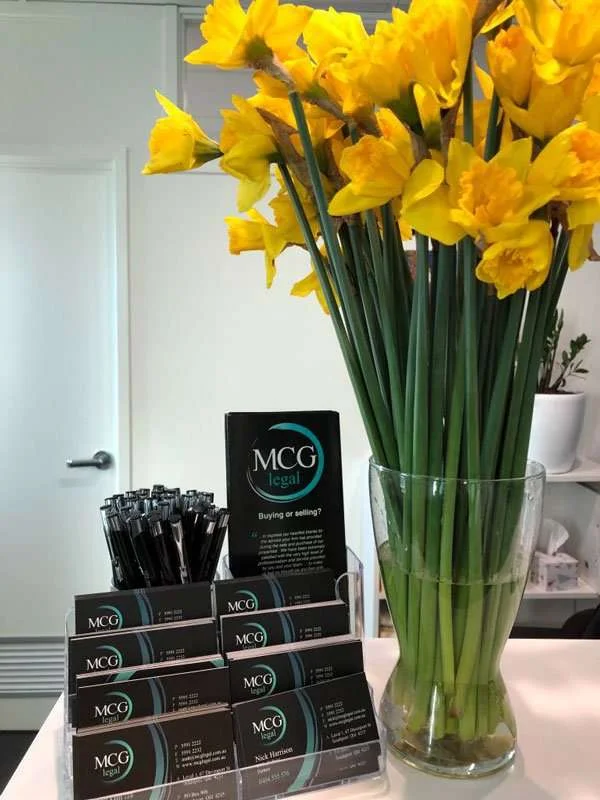 MCG Legal team celebrating Daffodil Day in the office